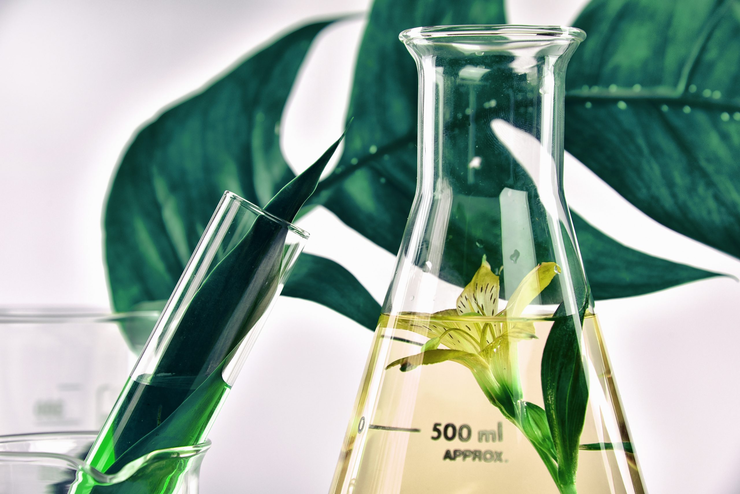 Sodium di-acetate
